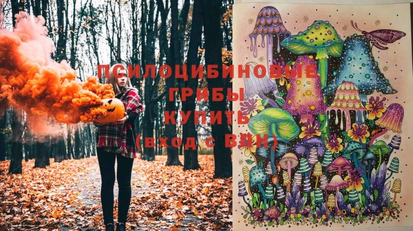 соль курить ск Алексеевка