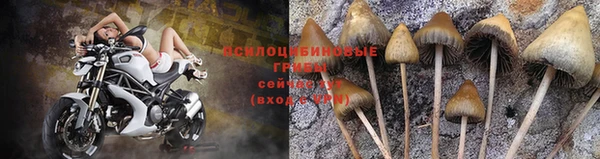 соль курить ск Алексеевка